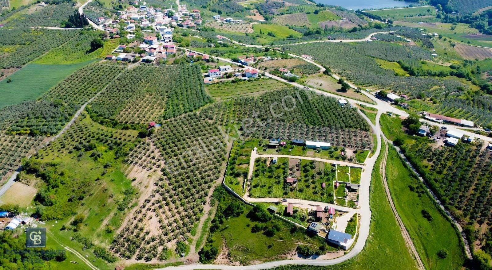 Mudanya Çınarlıda Doğa İçinde Satılık Hobi Bahçesi - Görsel 34