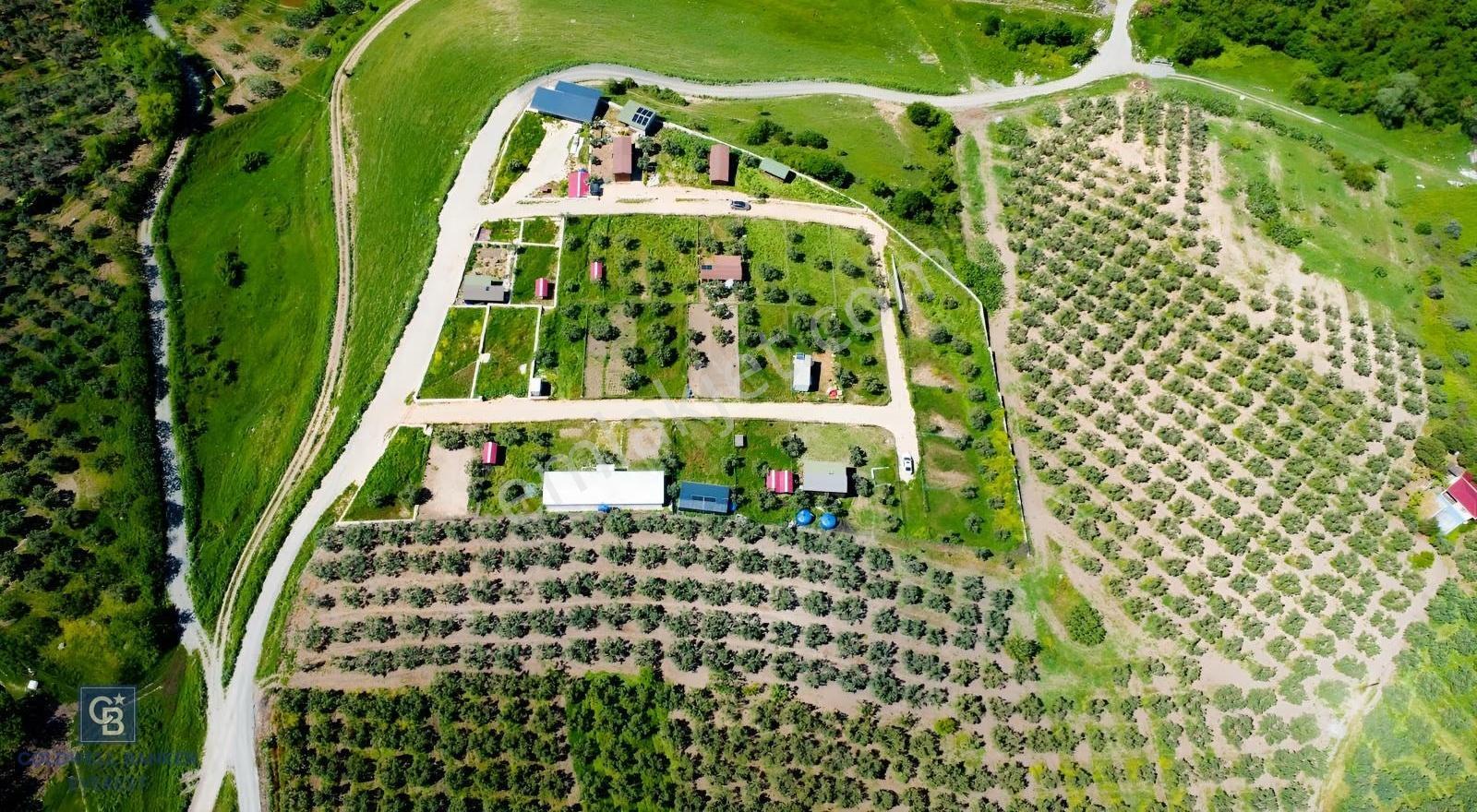 Mudanya Çınarlıda Doğa İçinde Satılık Hobi Bahçesi - Görsel 14