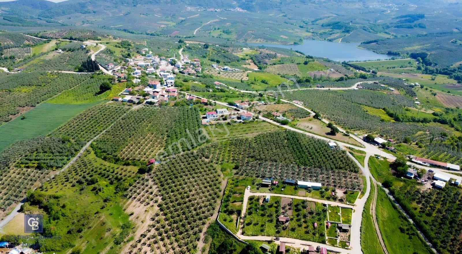 Mudanya Çınarlıda Doğa İçinde Satılık Hobi Bahçesi - Görsel 19