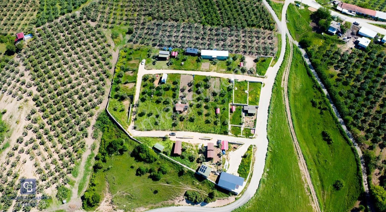Mudanya Çınarlıda Doğa İçinde Satılık Hobi Bahçesi - Görsel 35