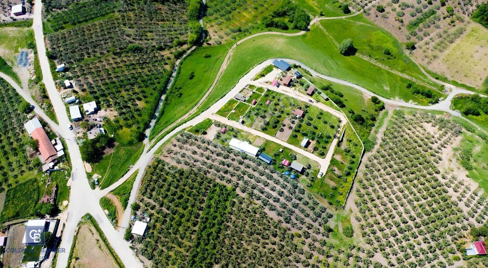 Mudanya Çınarlıda Doğa İçinde Satılık Hobi Bahçesi - Görsel 26