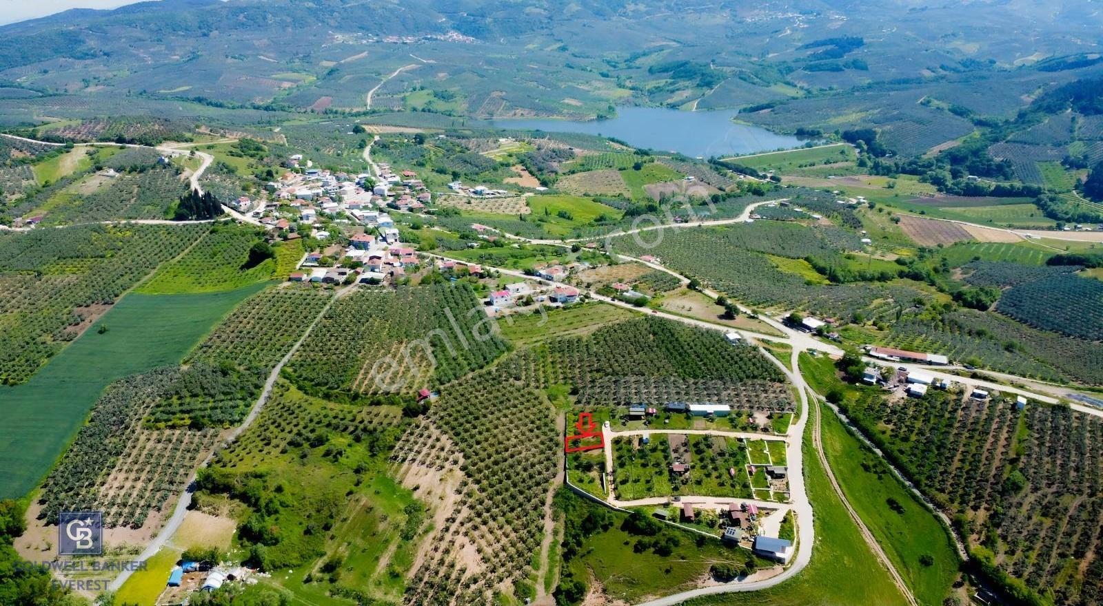 Mudanya Çınarlıda Doğa İçinde Satılık Hobi Bahçesi