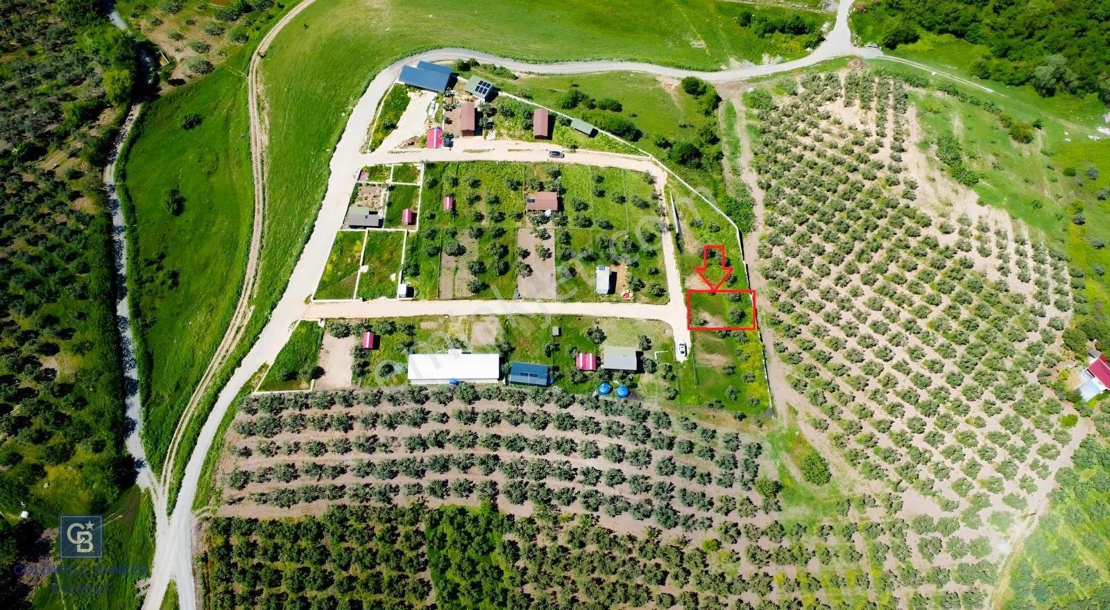 Mudanya Çınarlıda Doğa İçinde Satılık Hobi Bahçesi - Görsel 2