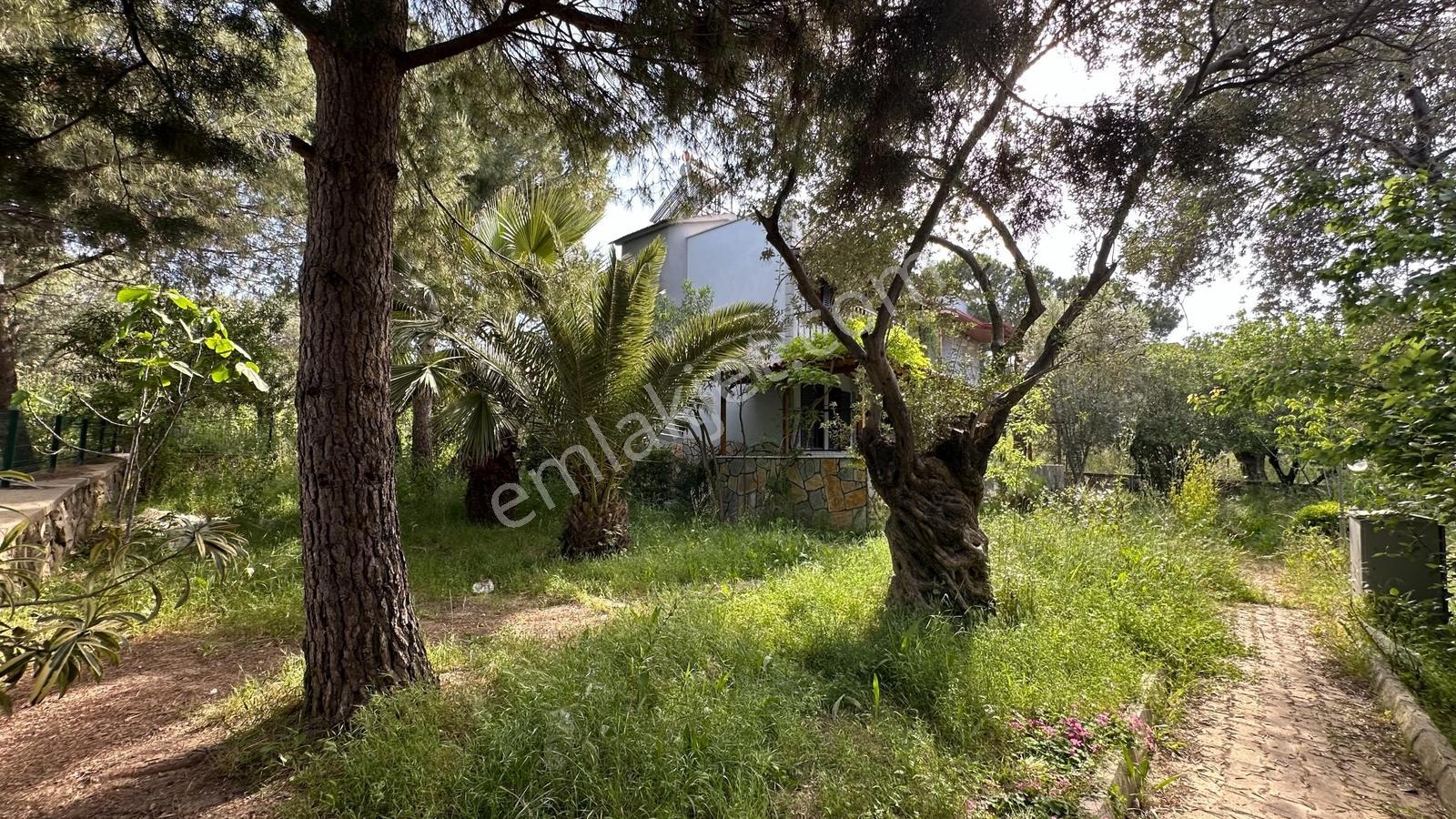 Pelitköy'de Denize 150 Metre Geniş Bahçelii Satılık Villa - Görsel 16