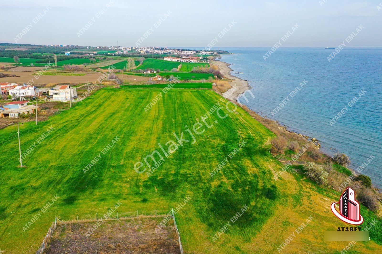 Atabey Gayrimenkul Tekirdağ Şarköy 1001. Tatil Sit. Satılık Arsa - Görsel 7