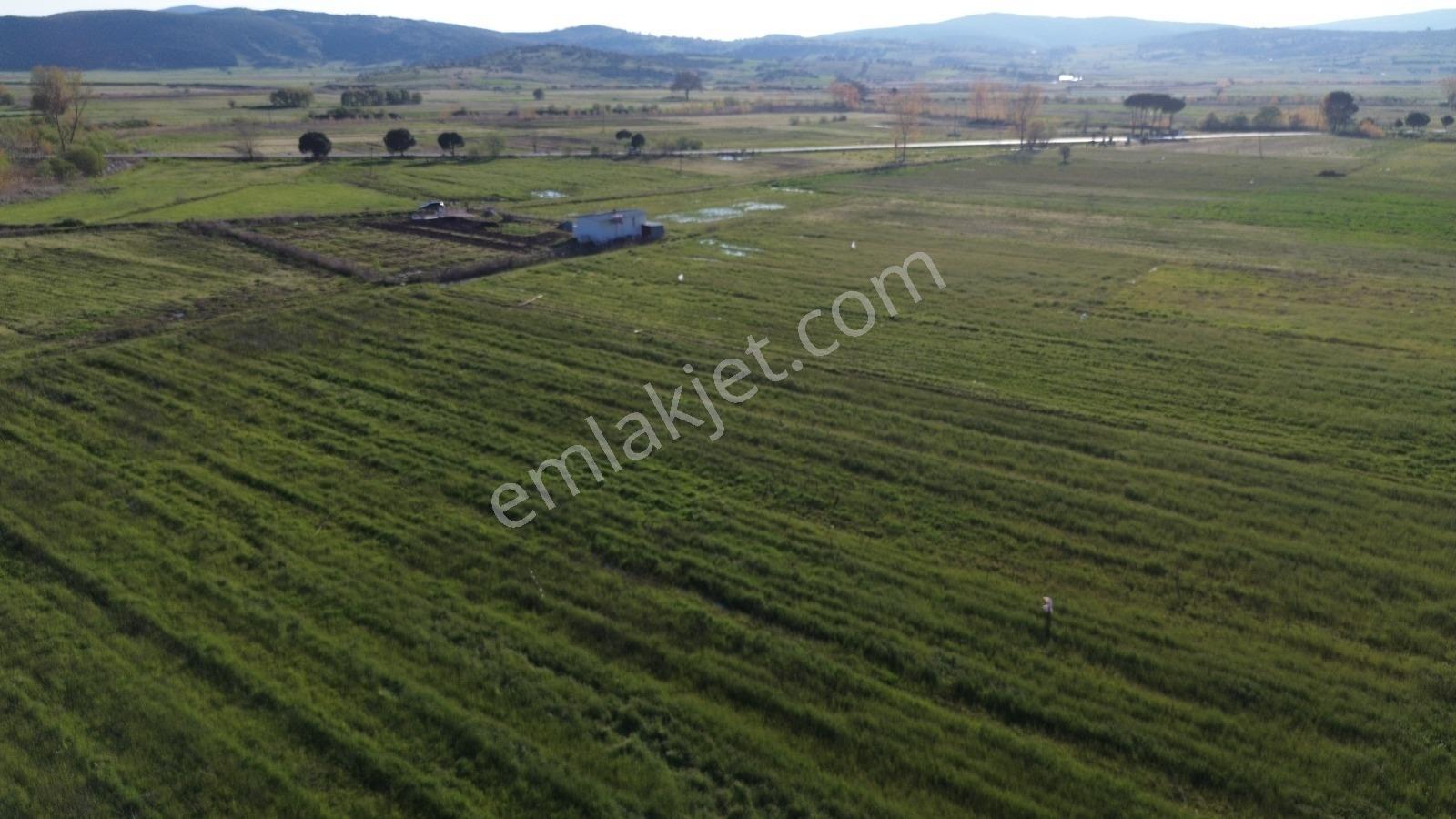 Startkey Yönden Kocaavşar Da Kadastral Yol Ve Su Olan Tarla - Görsel 17