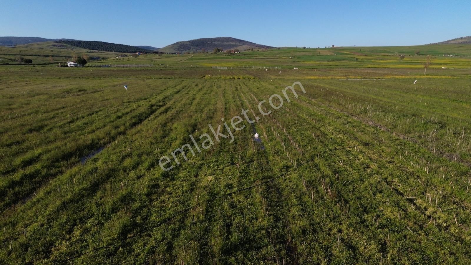 Startkey Yönden Kocaavşar Da Kadastral Yol Ve Su Olan Tarla - Görsel 7