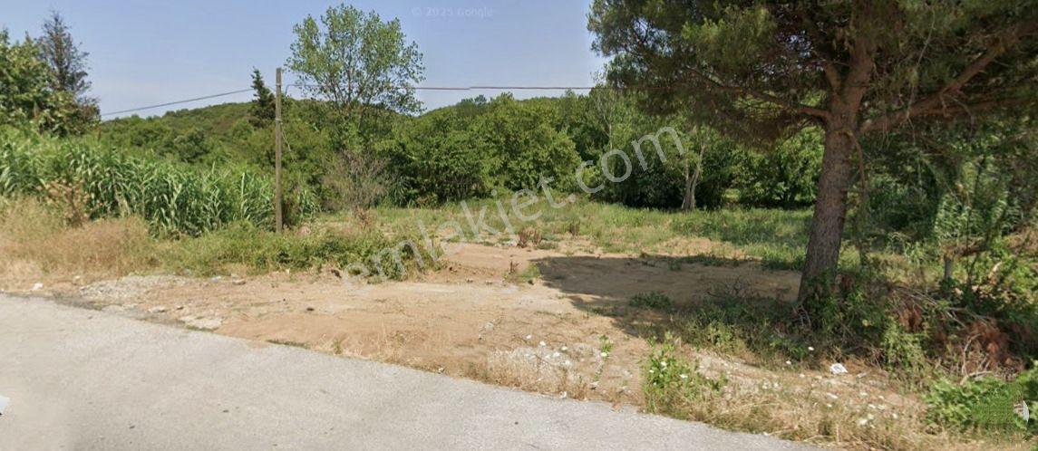 Lapseki Gürecialtı'nda Otoyol Cepheli Yatırımlık 2.000 M² Tarla - Görsel 16