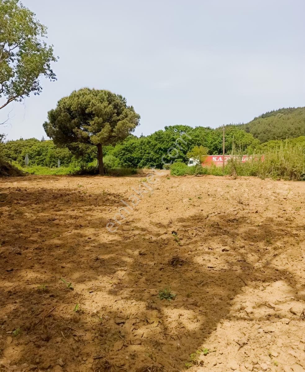Lapseki Gürecialtı'nda Otoyol Cepheli Yatırımlık 2.000 M² Tarla - Görsel 3