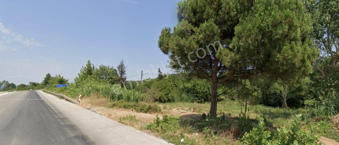 Lapseki Gürecialtı'nda Otoyol Cepheli Yatırımlık 2.000 M² Tarla - Görsel 19