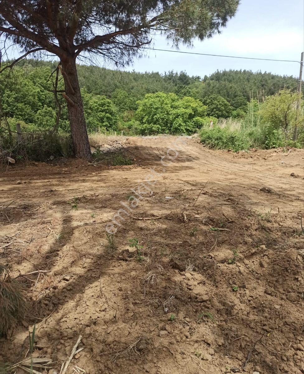 Lapseki Gürecialtı'nda Otoyol Cepheli Yatırımlık 2.000 M² Tarla - Görsel 2