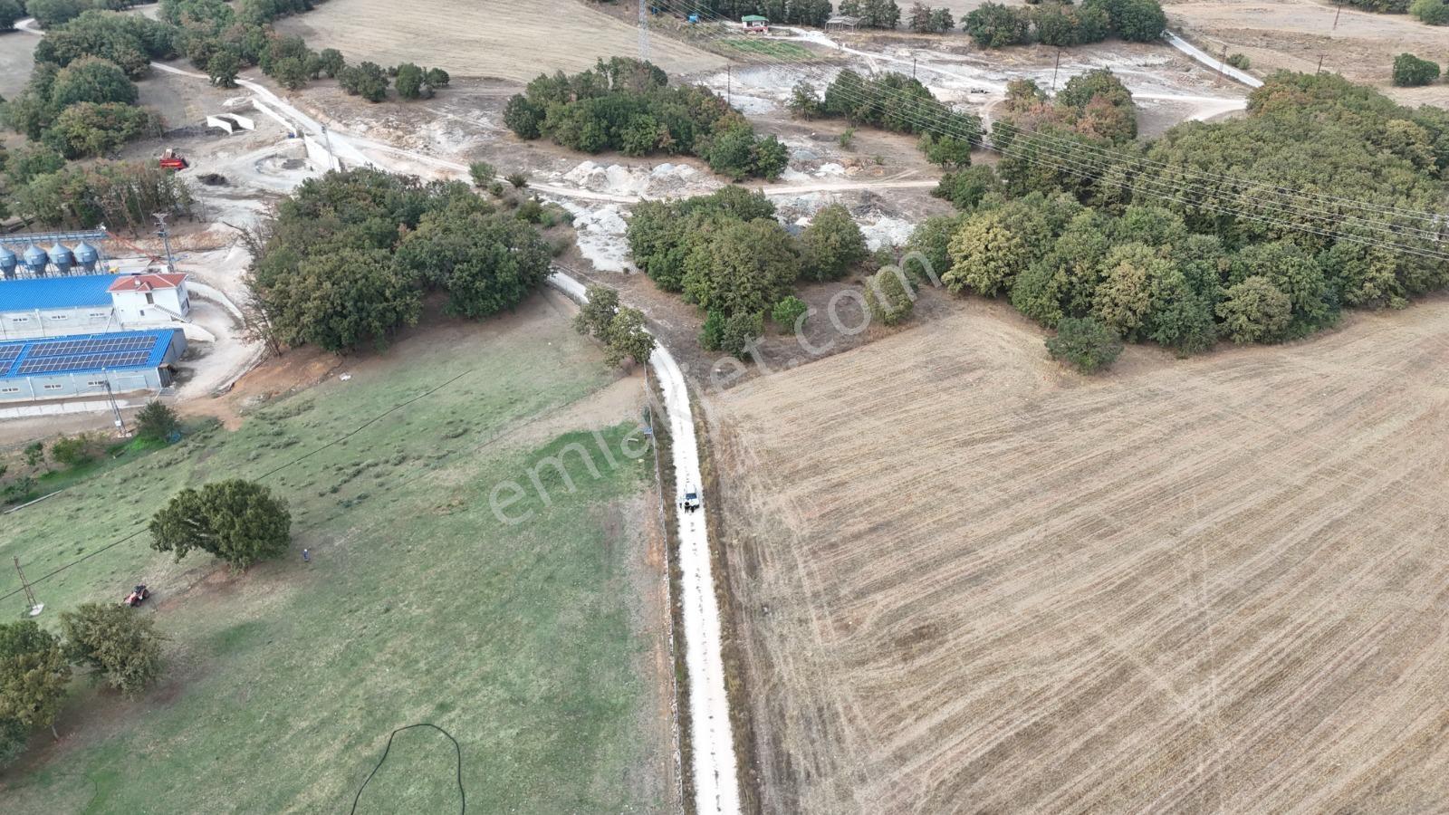 Yatırımlık Resmi Yolu Olan Çiftlik Yapımına Uygun Tarla - Görsel 14