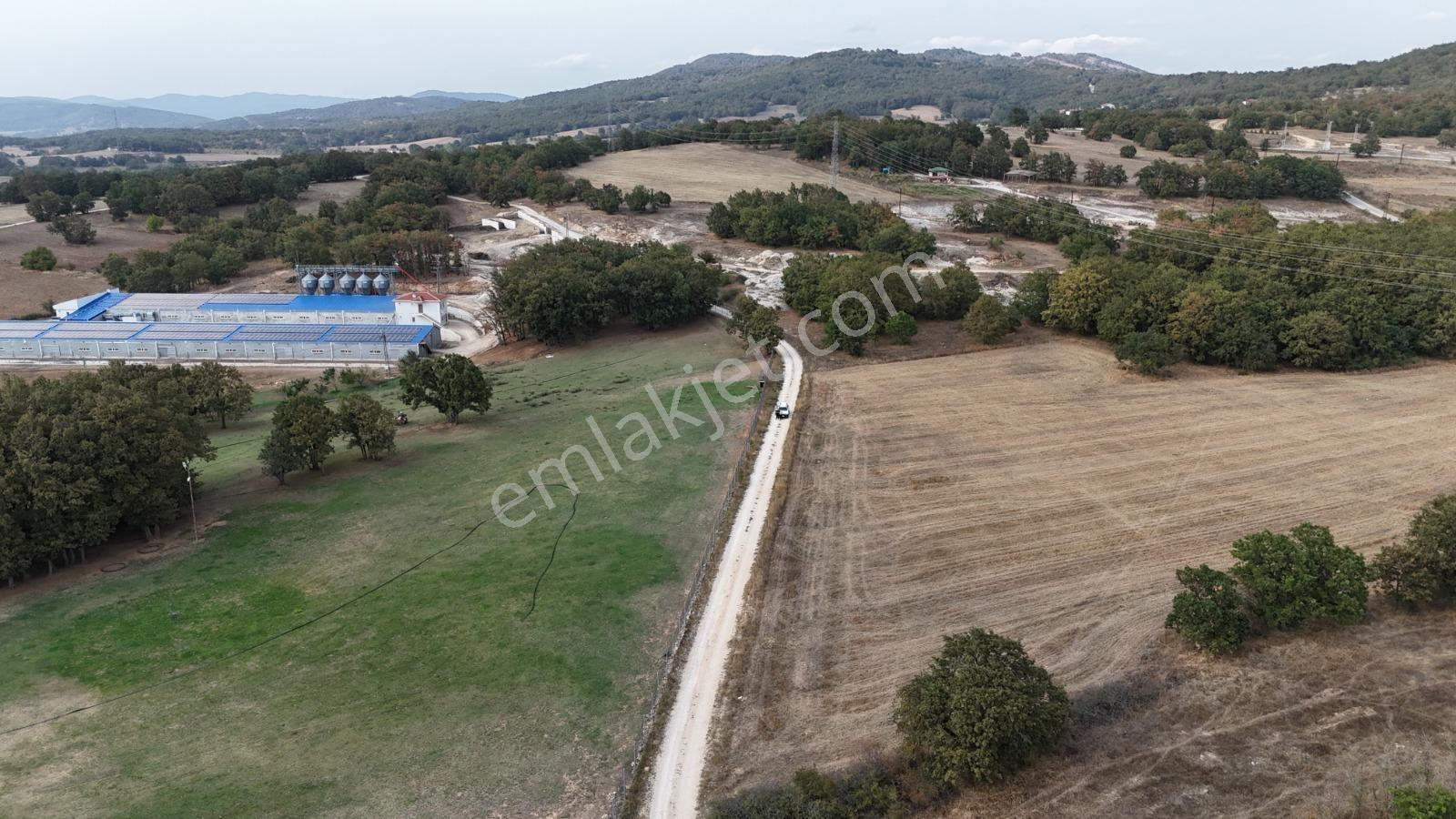Yatırımlık Resmi Yolu Olan Çiftlik Yapımına Uygun Tarla - Görsel 16
