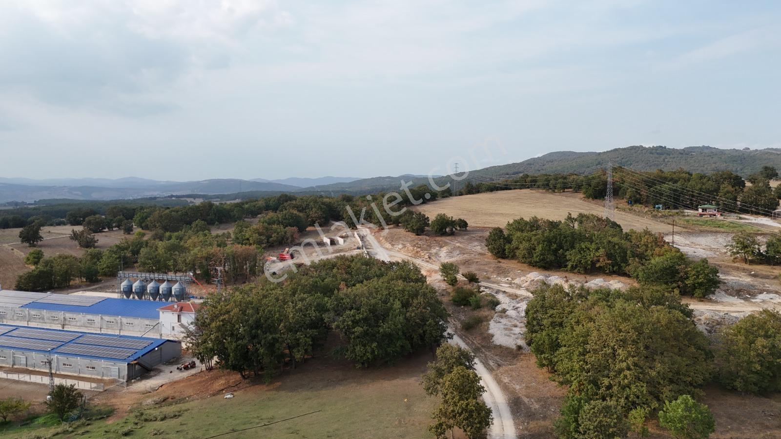 Yatırımlık Resmi Yolu Olan Çiftlik Yapımına Uygun Tarla - Görsel 13