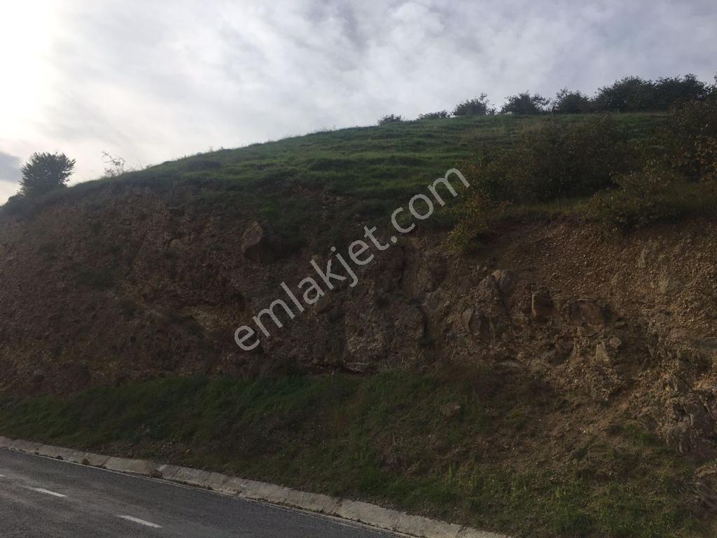 Trabzon Akyazı/cami Mah. 3 Parsel 3/4 Hisse 2513m2 Satılık - Görsel 9