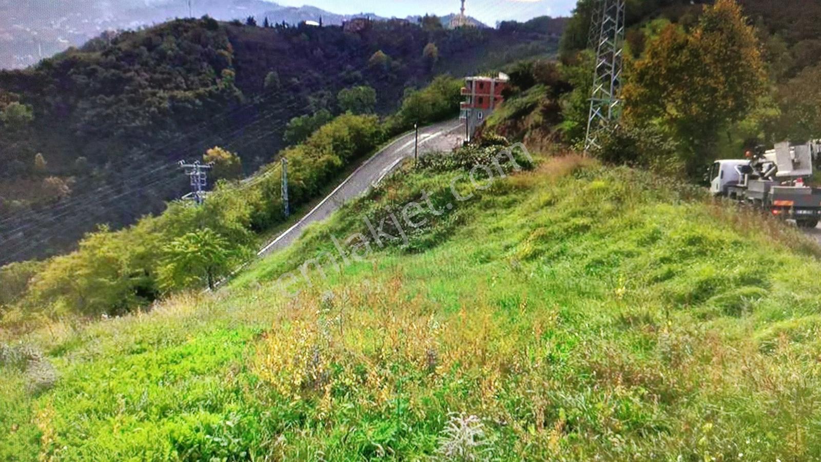 Trabzon Akyazı/cami Mah. 3 Parsel 3/4 Hisse 2513m2 Satılık - Görsel 13