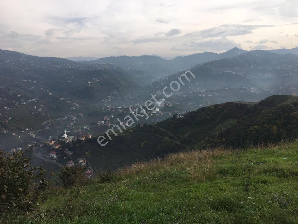 Trabzon Akyazı/cami Mah. 3 Parsel 3/4 Hisse 2513m2 Satılık - Görsel 8