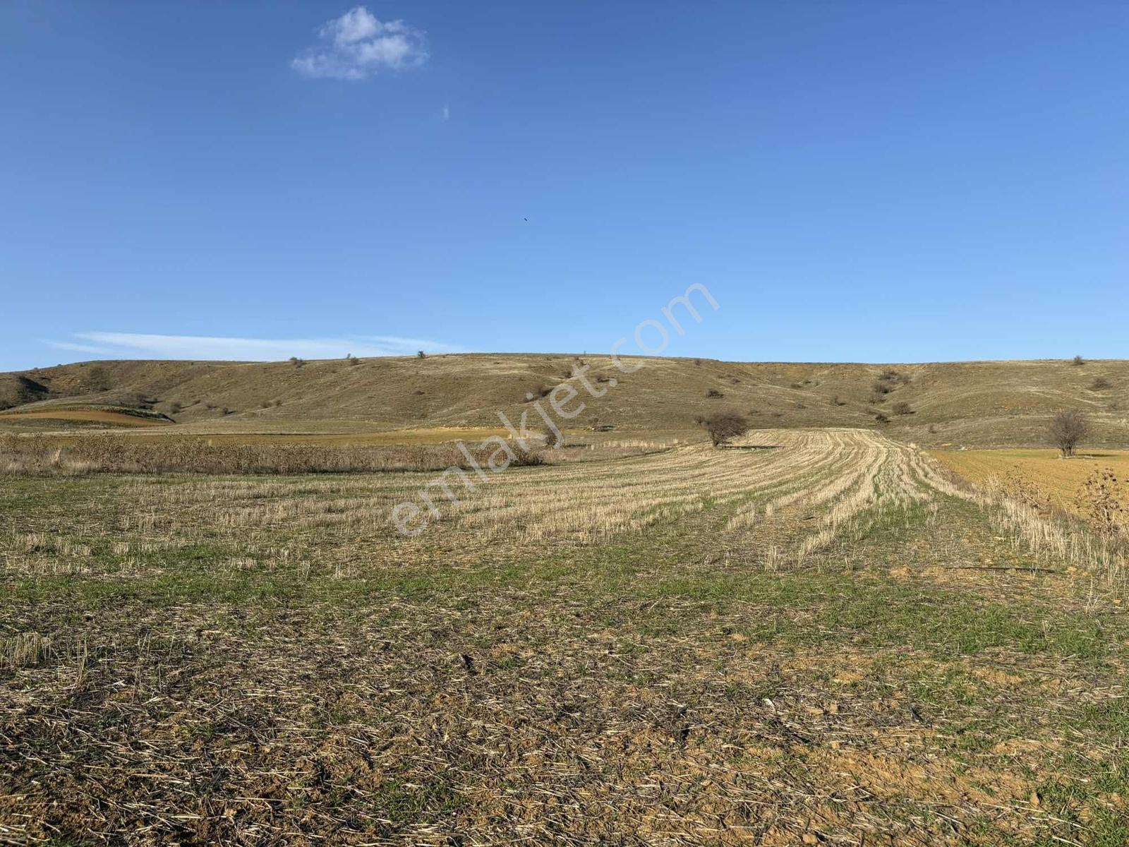 Mustafa Yılmaz'dan Söğüt Oluklu'da 4.390m² Arazi