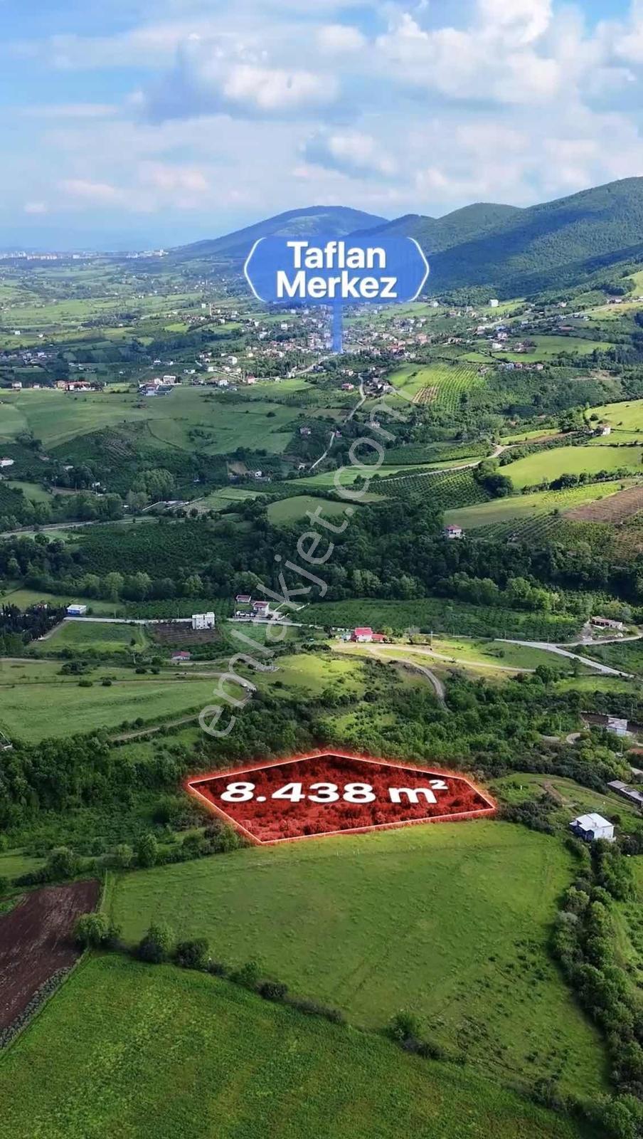 Atakum Taflanda Yatırımlık 8.438 M² Tarla - Görsel 3