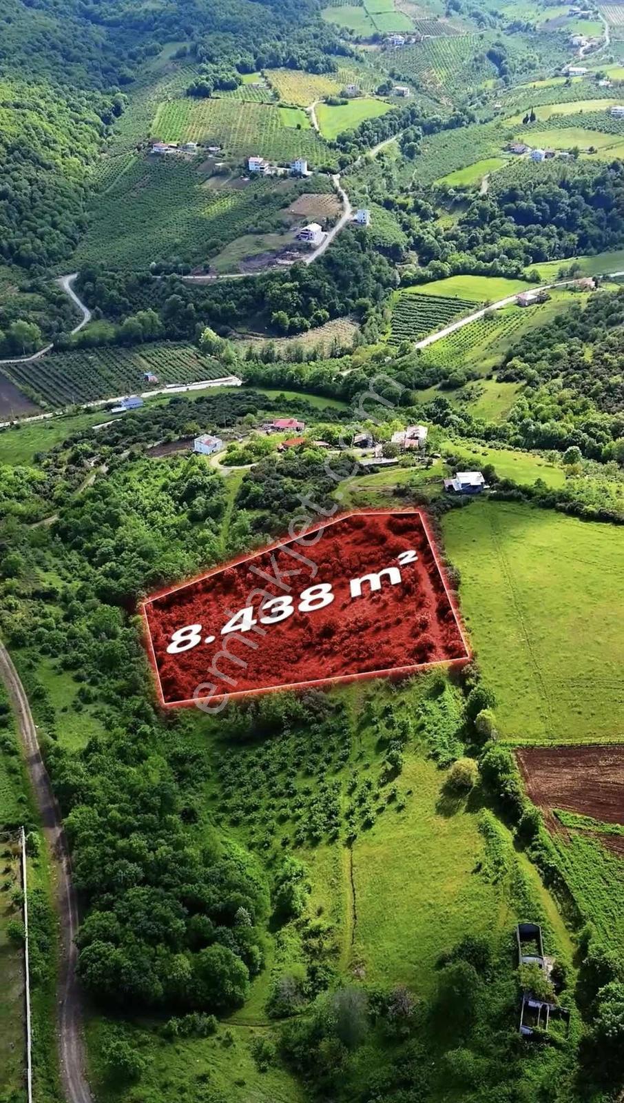 Atakum Taflanda Yatırımlık 8.438 M² Tarla - Görsel 7