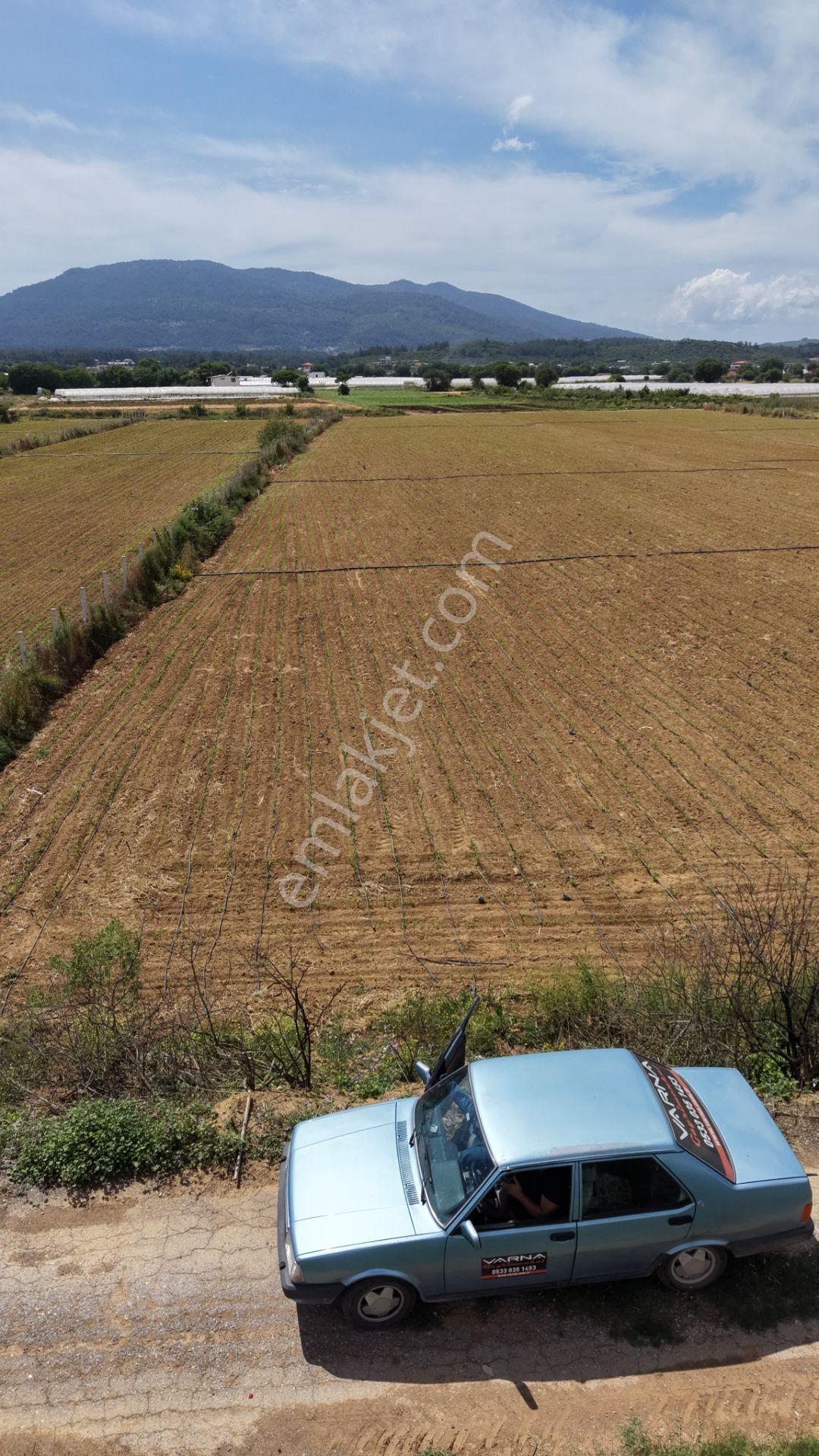 İzmir Ataköyde Satılık Tektapu 2.650 M2 Yatırıma Uygun Arazi - Görsel 25