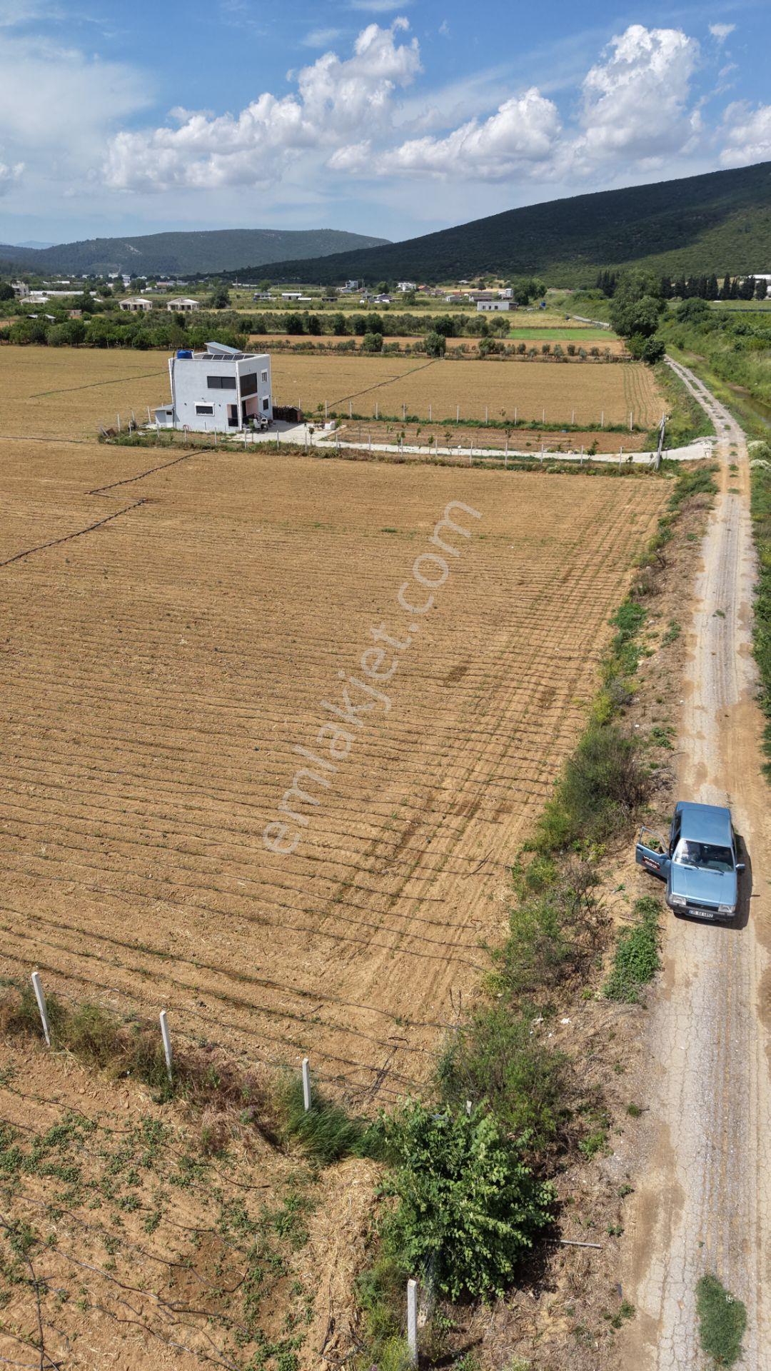 İzmir Ataköyde Satılık Tektapu 2.650 M2 Yatırıma Uygun Arazi - Görsel 17