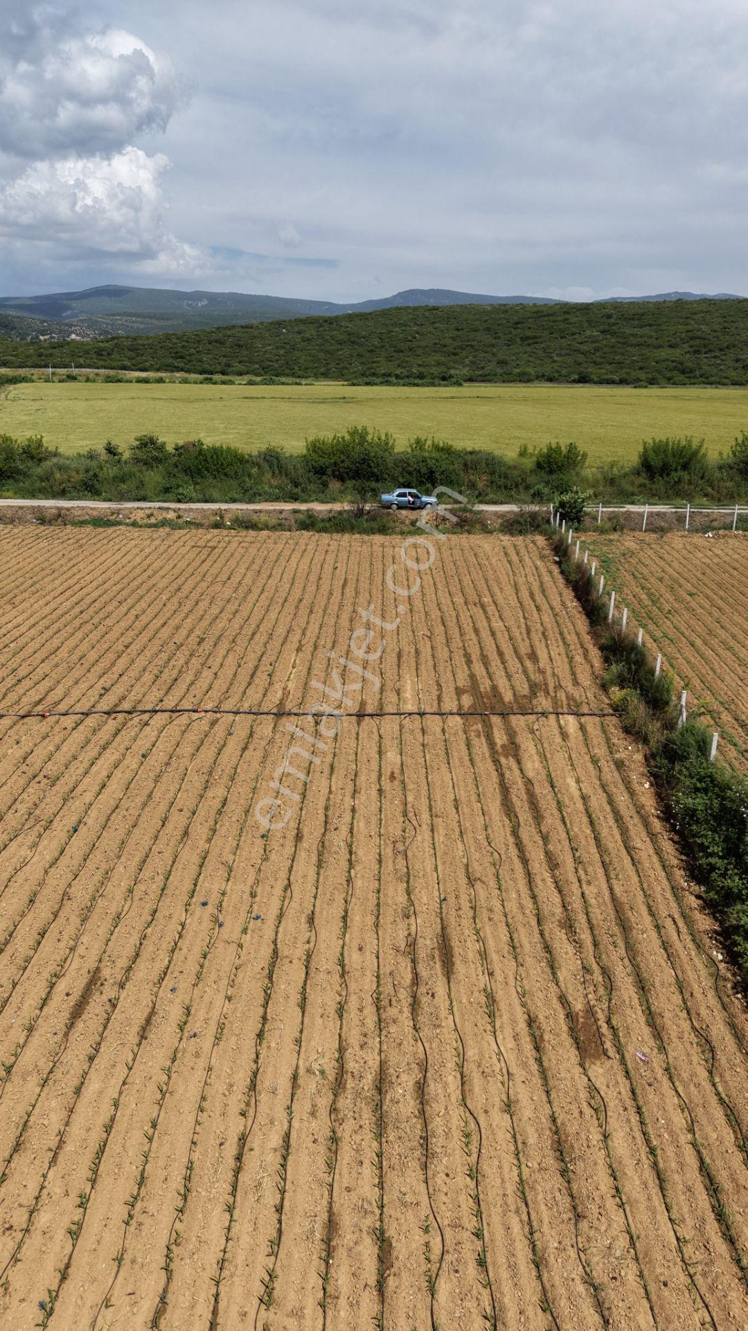 İzmir Ataköyde Satılık Tektapu 2.650 M2 Yatırıma Uygun Arazi - Görsel 22