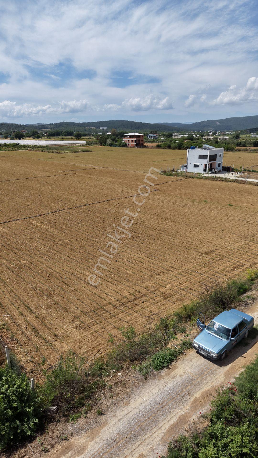İzmir Ataköyde Satılık Tektapu 2.650 M2 Yatırıma Uygun Arazi - Görsel 24