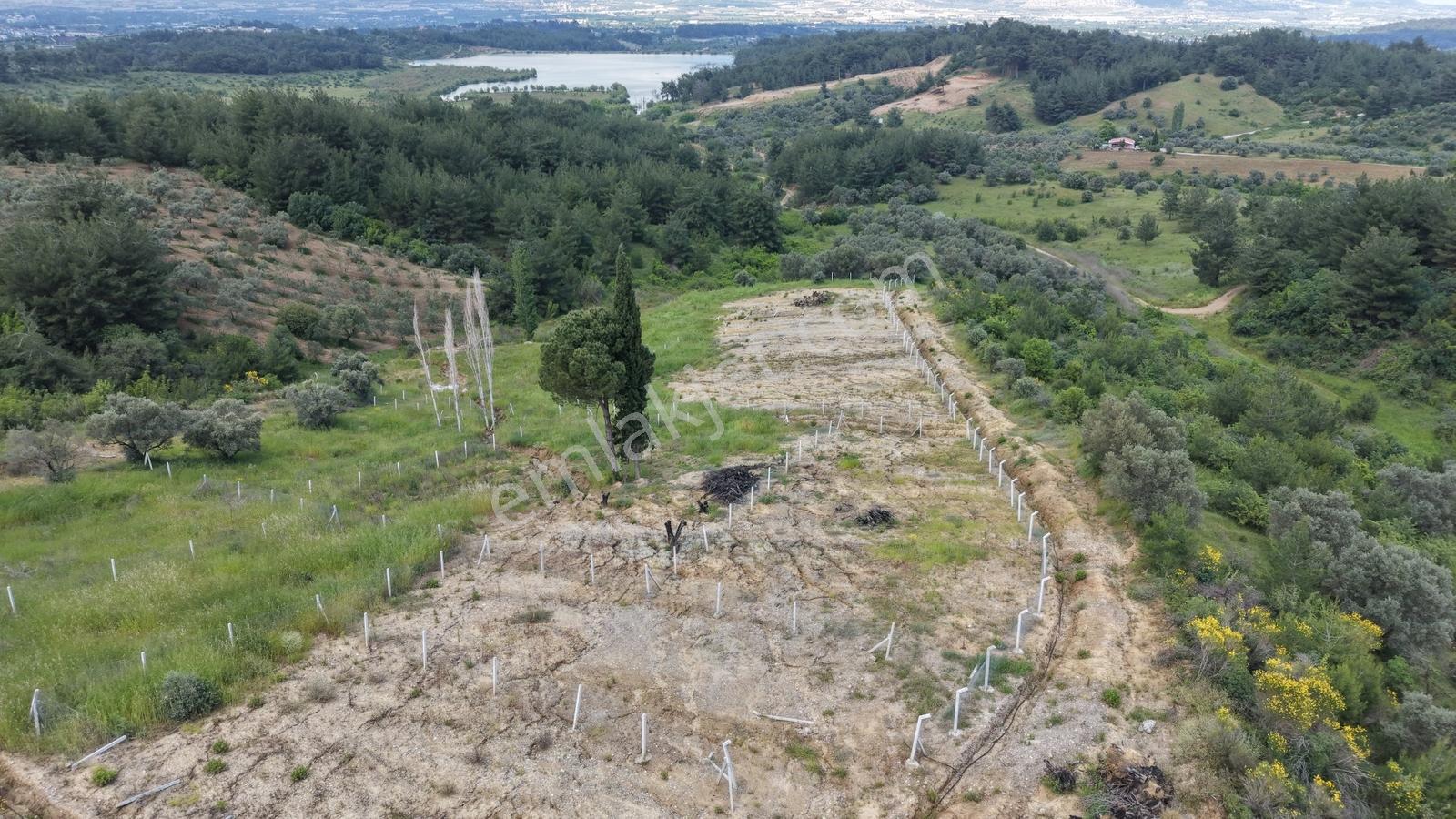 Yukarıkızılca Da Satılık 1.324 M² Gölet Manzaralı Tapulu Bahçe
