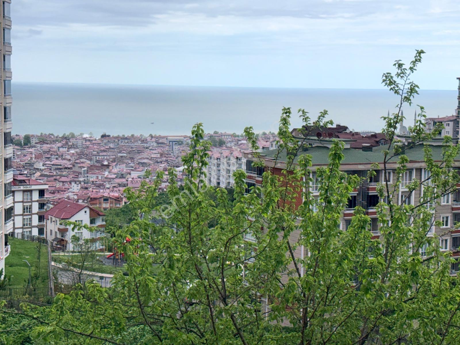 Masrafsız - Görsel 12