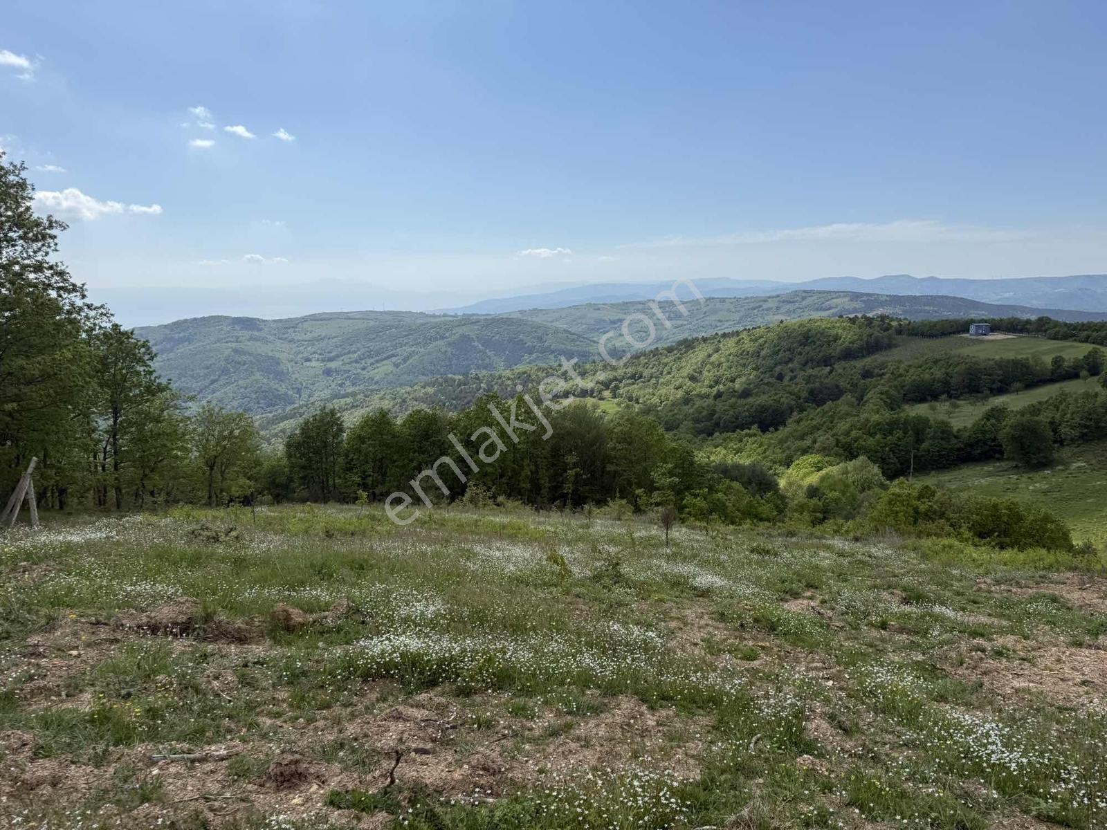 Candarlı'da Asfalta 50 Metre Mesafe Göl Manzaralı 6786 M2 Tarla - Görsel 28