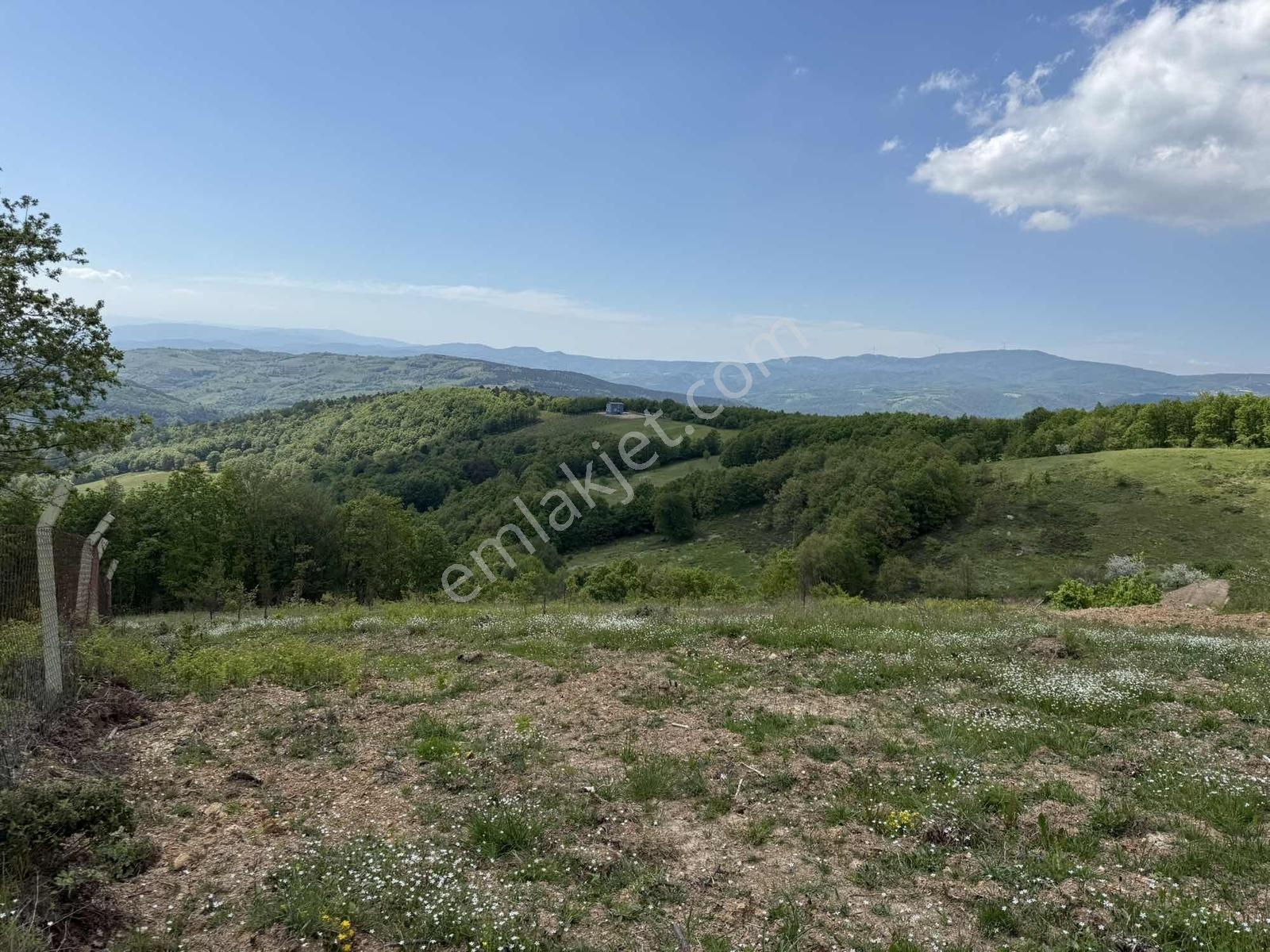 Candarlı'da Asfalta 50 Metre Mesafe Göl Manzaralı 6786 M2 Tarla - Görsel 32
