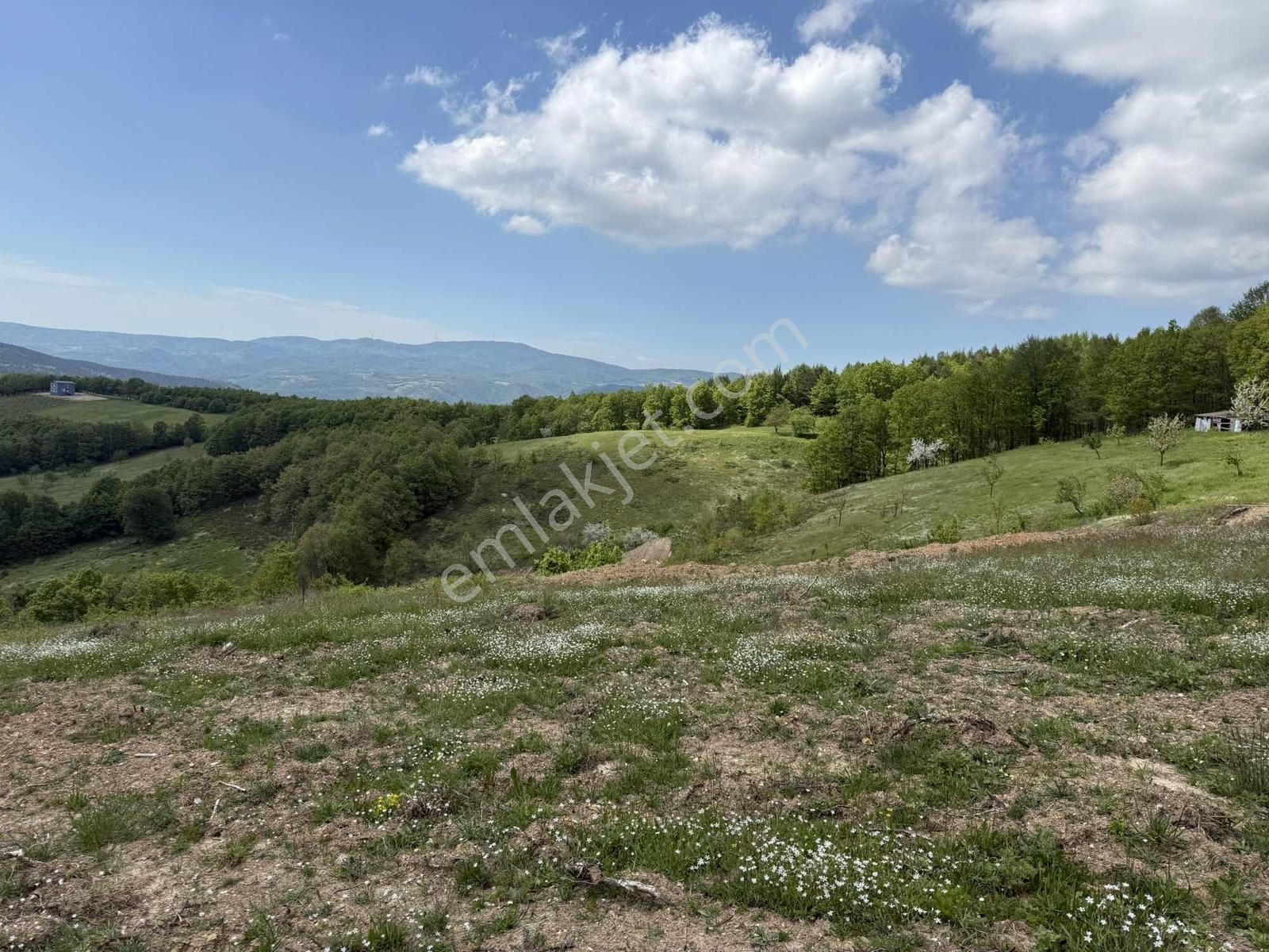 Candarlı'da Asfalta 50 Metre Mesafe Göl Manzaralı 6786 M2 Tarla - Görsel 27