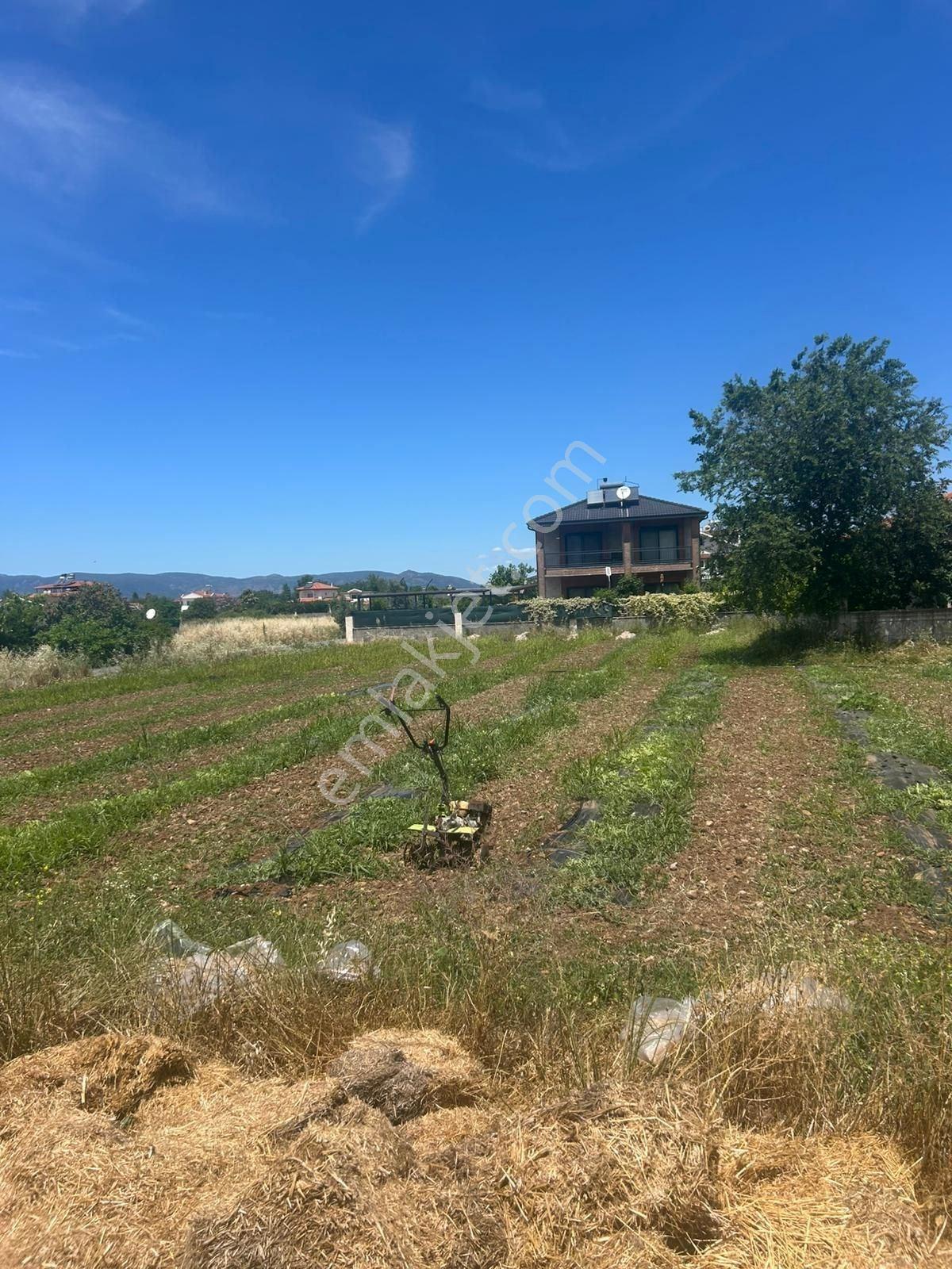 Muğla Ortaca Okçular'da Satılık 506m² İmarlı Arsa