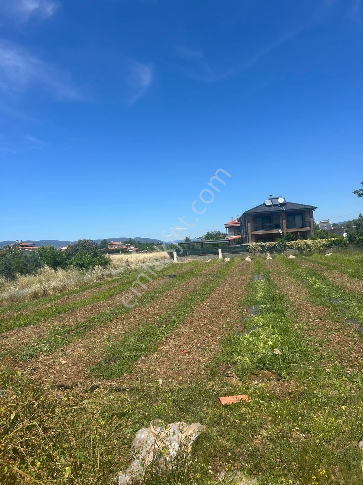Muğla Ortaca Okçular'da Satılık 506m² İmarlı Arsa - Görsel 7