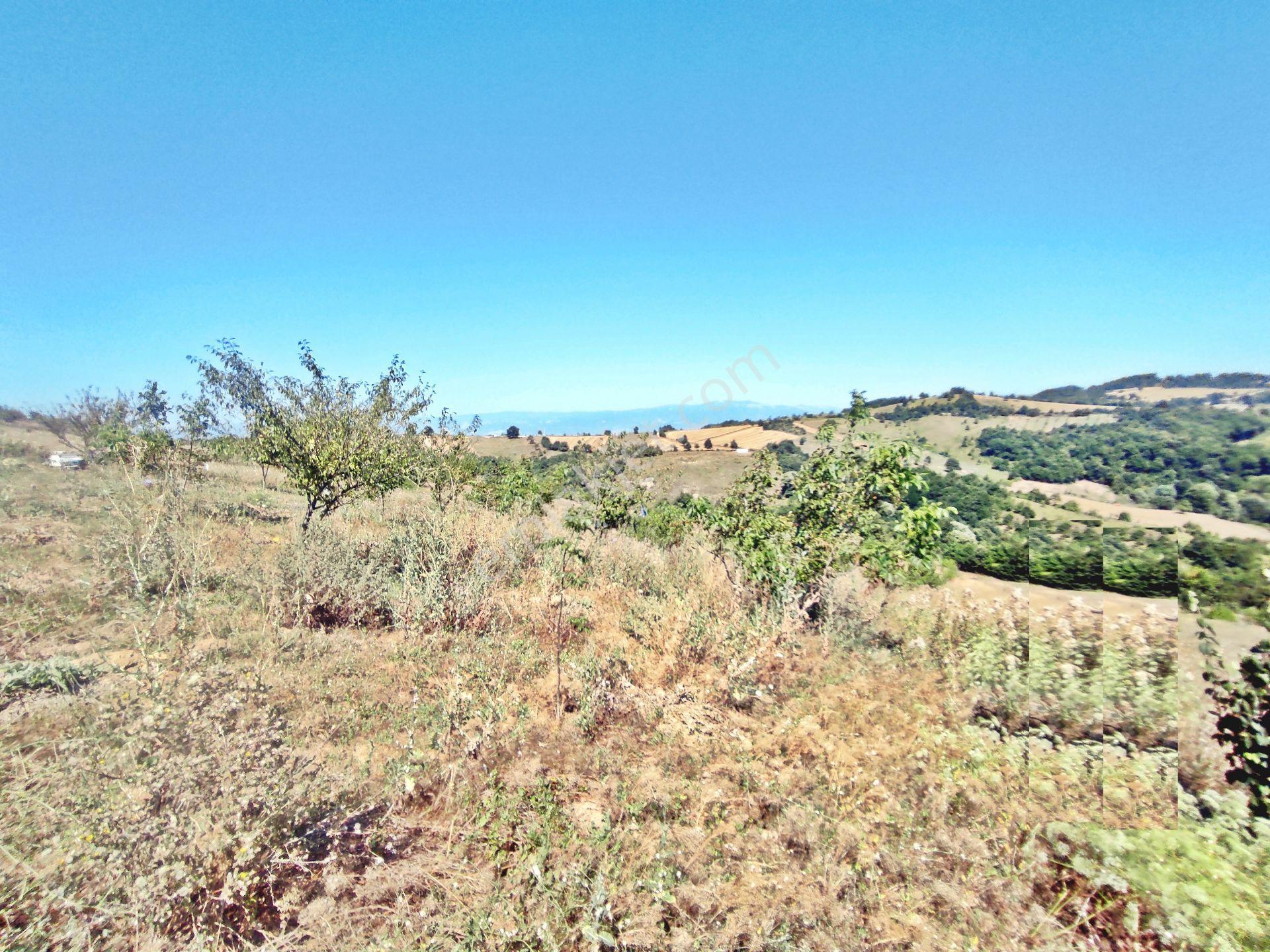 Yenişehir Kirazlı Yayala Da Doğa Manzaralı - 2378 -m2- Tarla - Görsel 21