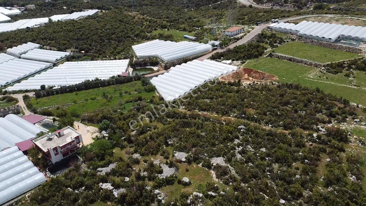 Mersin Erdemli Aslanlı 1333 M2 Tarla - Görsel 4