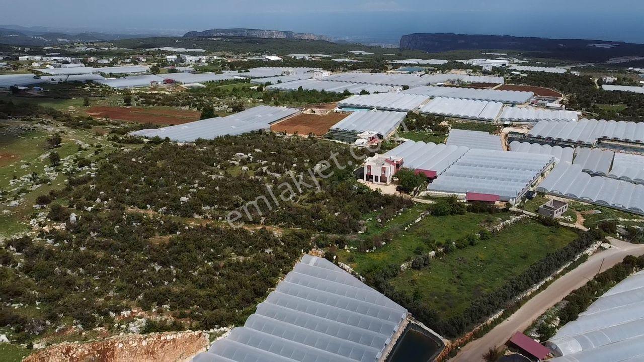 Mersin Erdemli Aslanlı 1333 M2 Tarla - Görsel 5