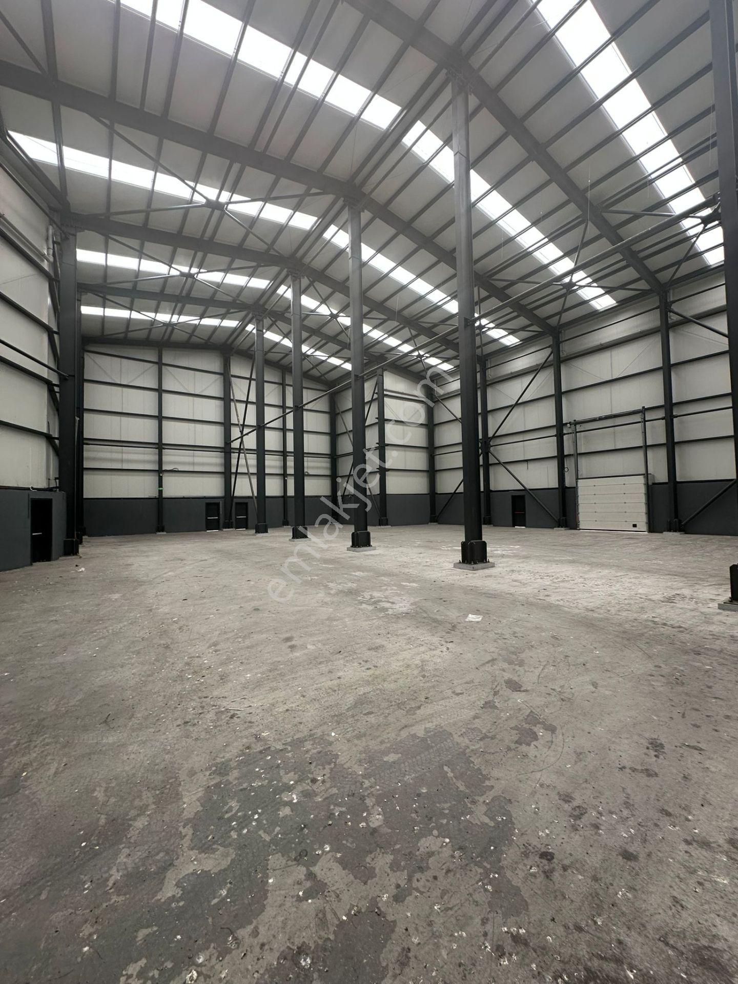 Beylikdüzü Osb'de H 13 M 1100m2 Kapalı Alan Tek Katlı Kiralık Müstakil Depo - Görsel 4