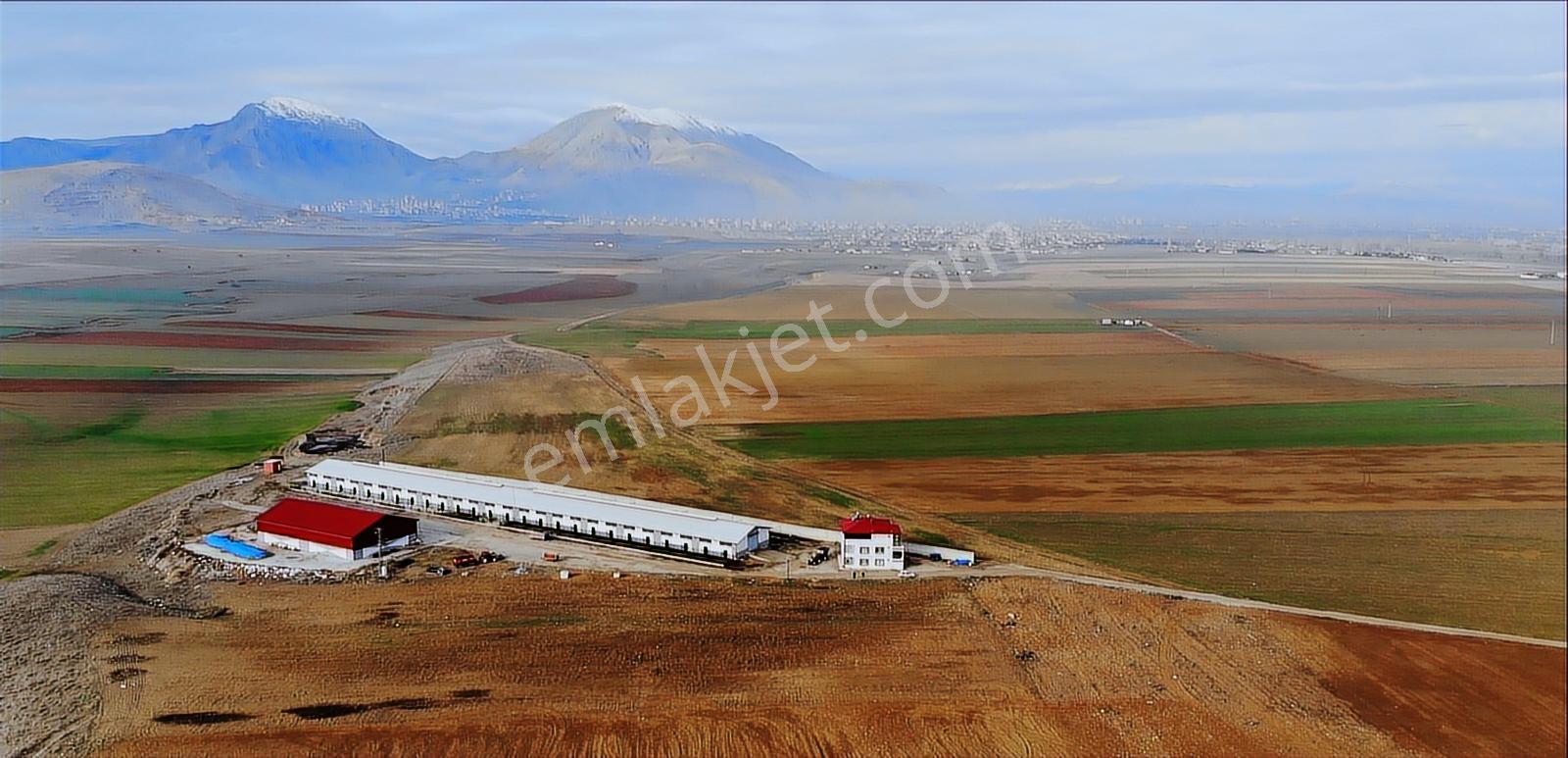Kahramanmaraş Elbistan Söğütlü'de 14.030 M2 Satılık Arazi - Görsel 2