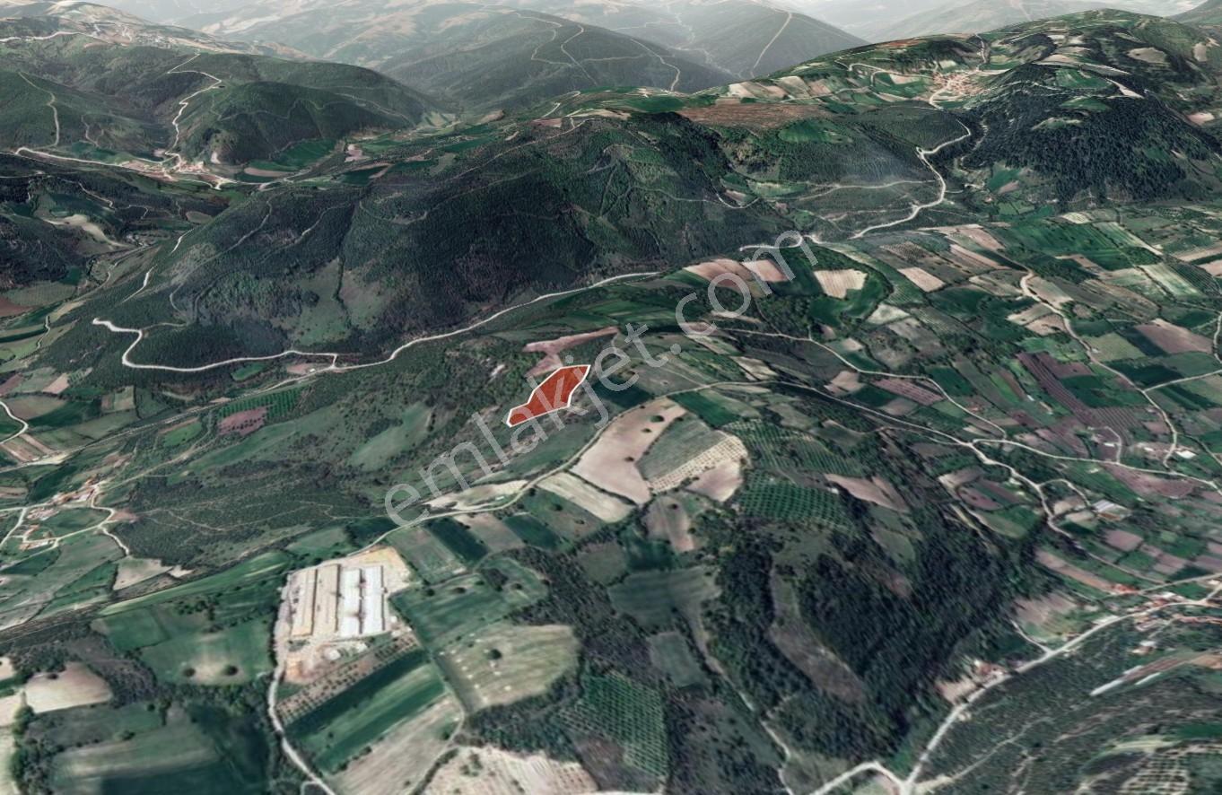 !şehre Yakın Fırsat Tarla!altıeylül Karakavak'ta Tarla 9.394 M² - Görsel 2