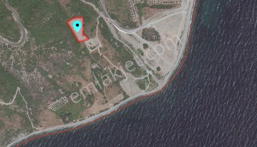 Delux'den Uçmakdere'de Yatırım Fırsatı Satılık Bağ - Görsel 2
