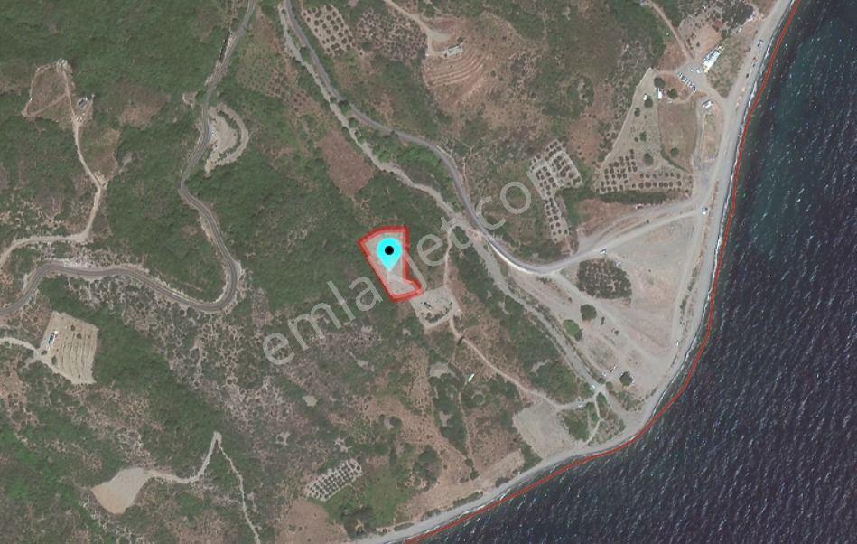 Delux'den Uçmakdere'de Yatırım Fırsatı Satılık Bağ