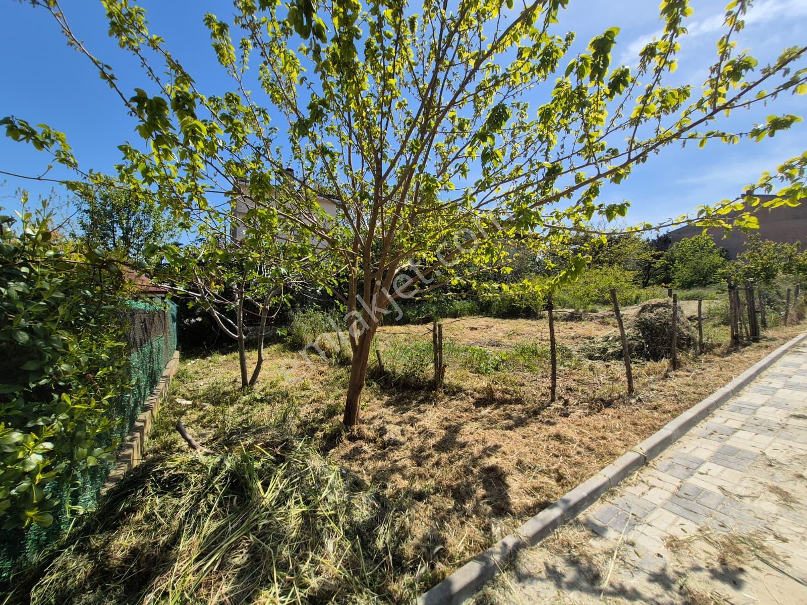 Delux'den N.kemal Mh.'de Yatırım Fırsatı Projeli Villa Arsası - Görsel 4