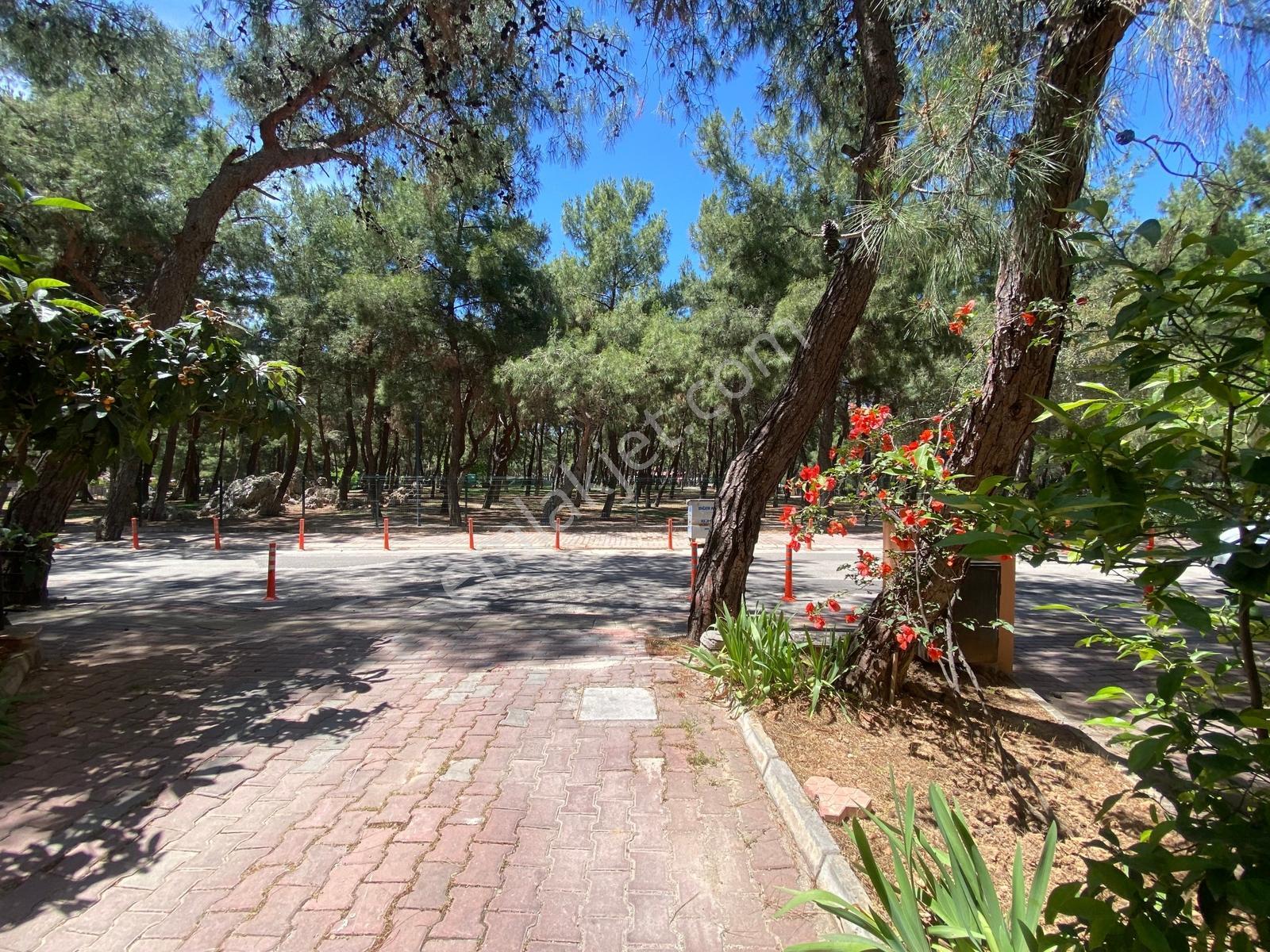 Ö.evleri Hayat Park Karşısı Doğa Manzaralı 2+1 Bahçe Katı - Görsel 25
