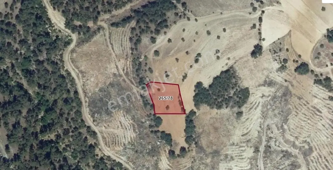 Termal Otellere Yakın,sındırgı Çamalanı'nda Fırsat Satılık Tarla - Görsel 2