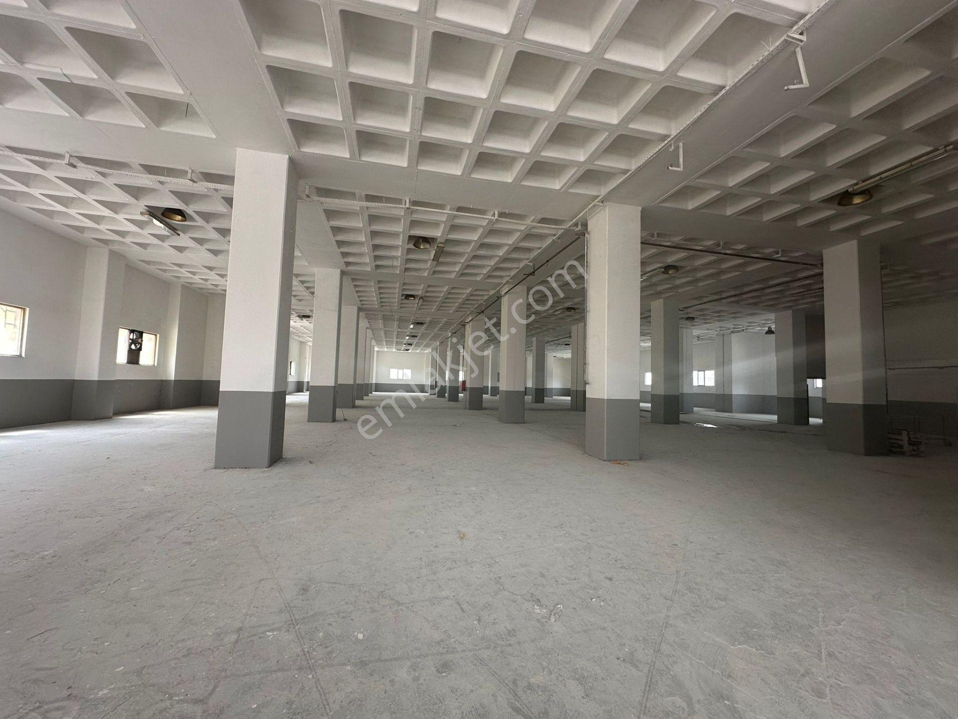 Beylikdüzü Osb 5400 M2 Rampalı 1 Ci Kat Ve Çatı İşyeri - Görsel 2