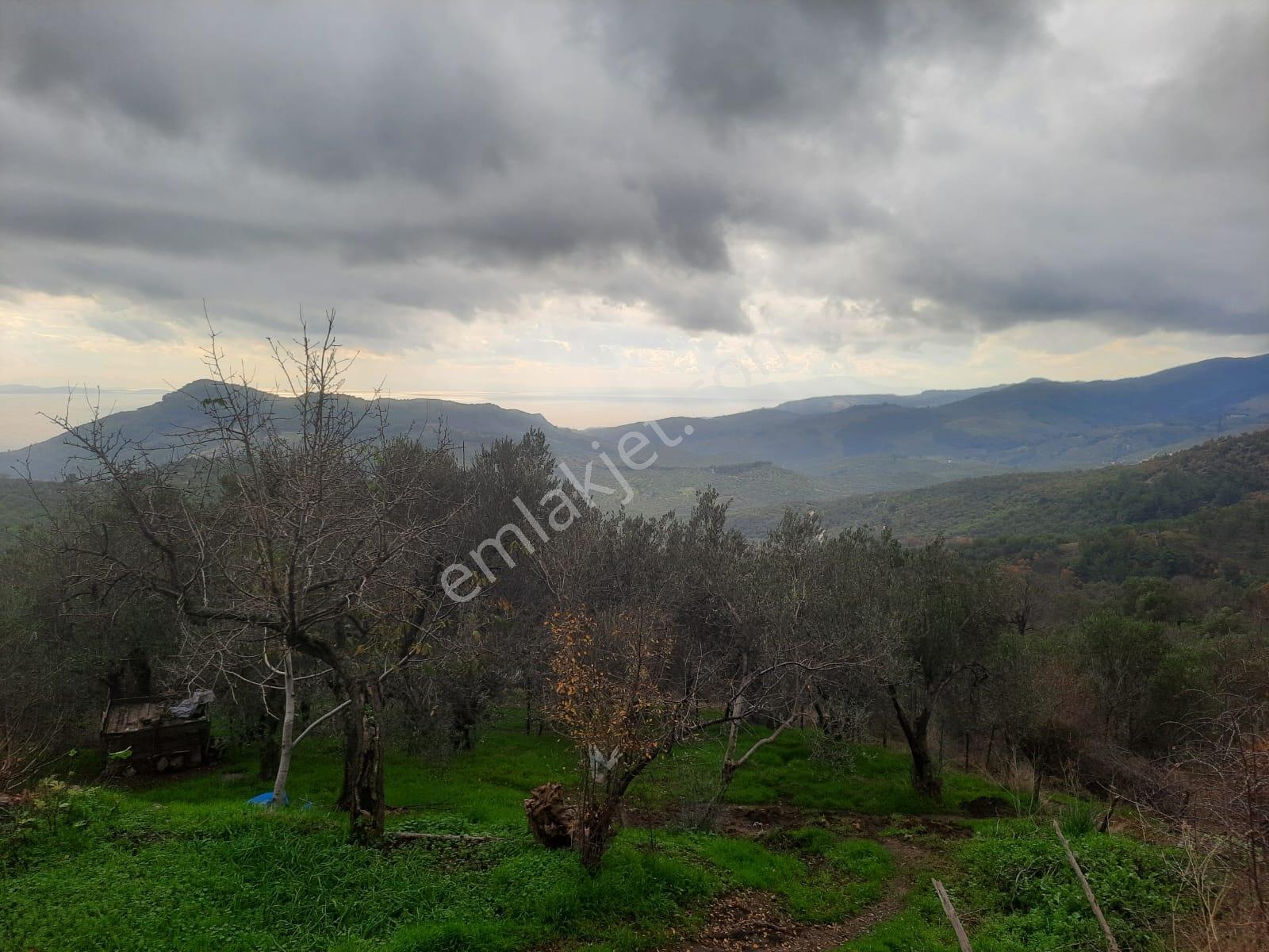 Tamer'den Adatepebaşında Full Deniz Manzaralı Satılık Arsa