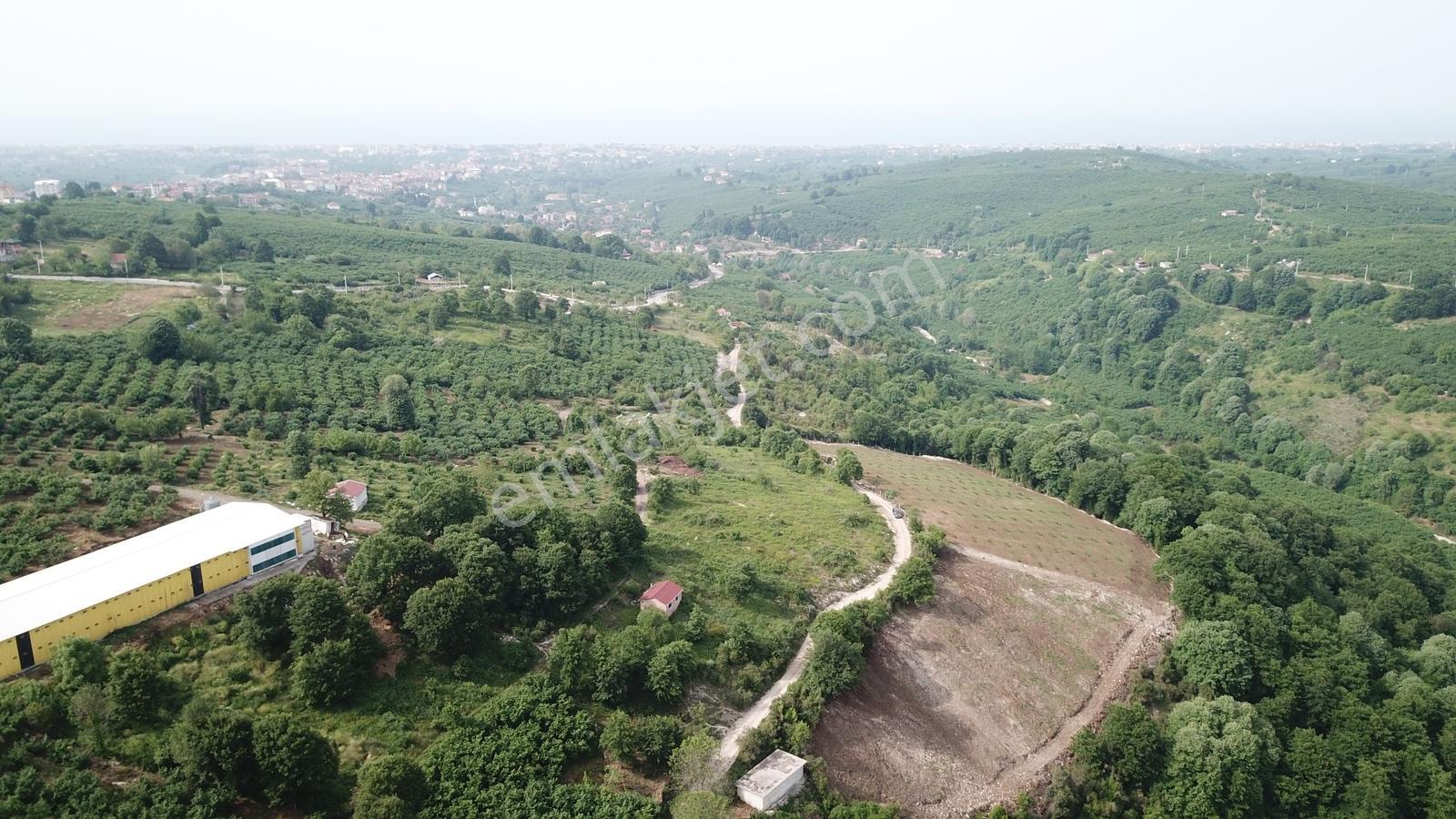 Kocaali Yeni Mahalle De Deniz Şehir Ve Doğa Manzaralı Arazi - Görsel 7