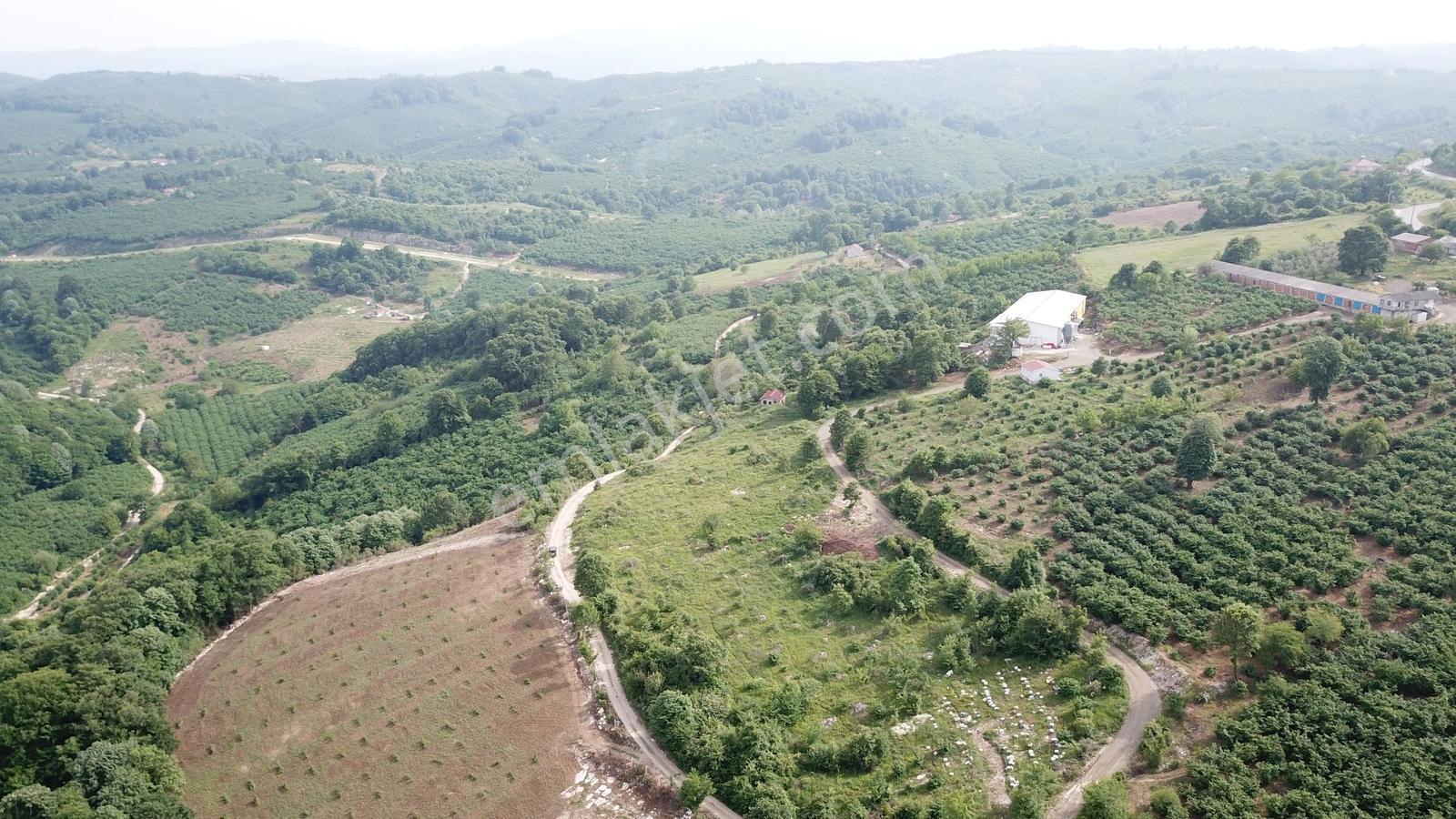 Kocaali Yeni Mahalle De Deniz Şehir Ve Doğa Manzaralı Arazi - Görsel 22
